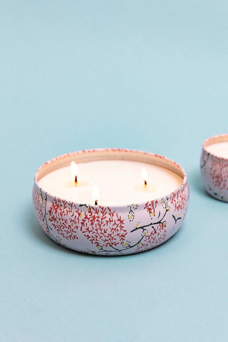 Homeware | Eclectic Grapefruit & Currant Large Travel Candle