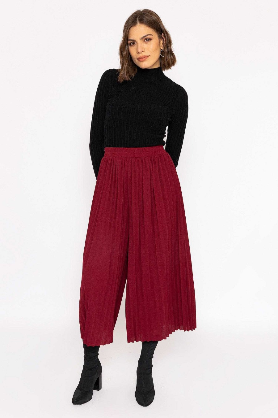 Jeans & Trousers | Rowen Avenue Pleated Wide Leg Pant In Burgundy