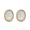 Boxed Gifts | Knight & Day Alora White Opal Stud Earrings