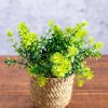 Homeware | Carraig Donn HOME Fern Plant In Basket