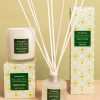 Homeware | Eclectic Eclectic Bamboo & Cedar Fragrance Set