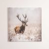 Homeware | Carraig Donn HOME Stag Canvas Wall Art