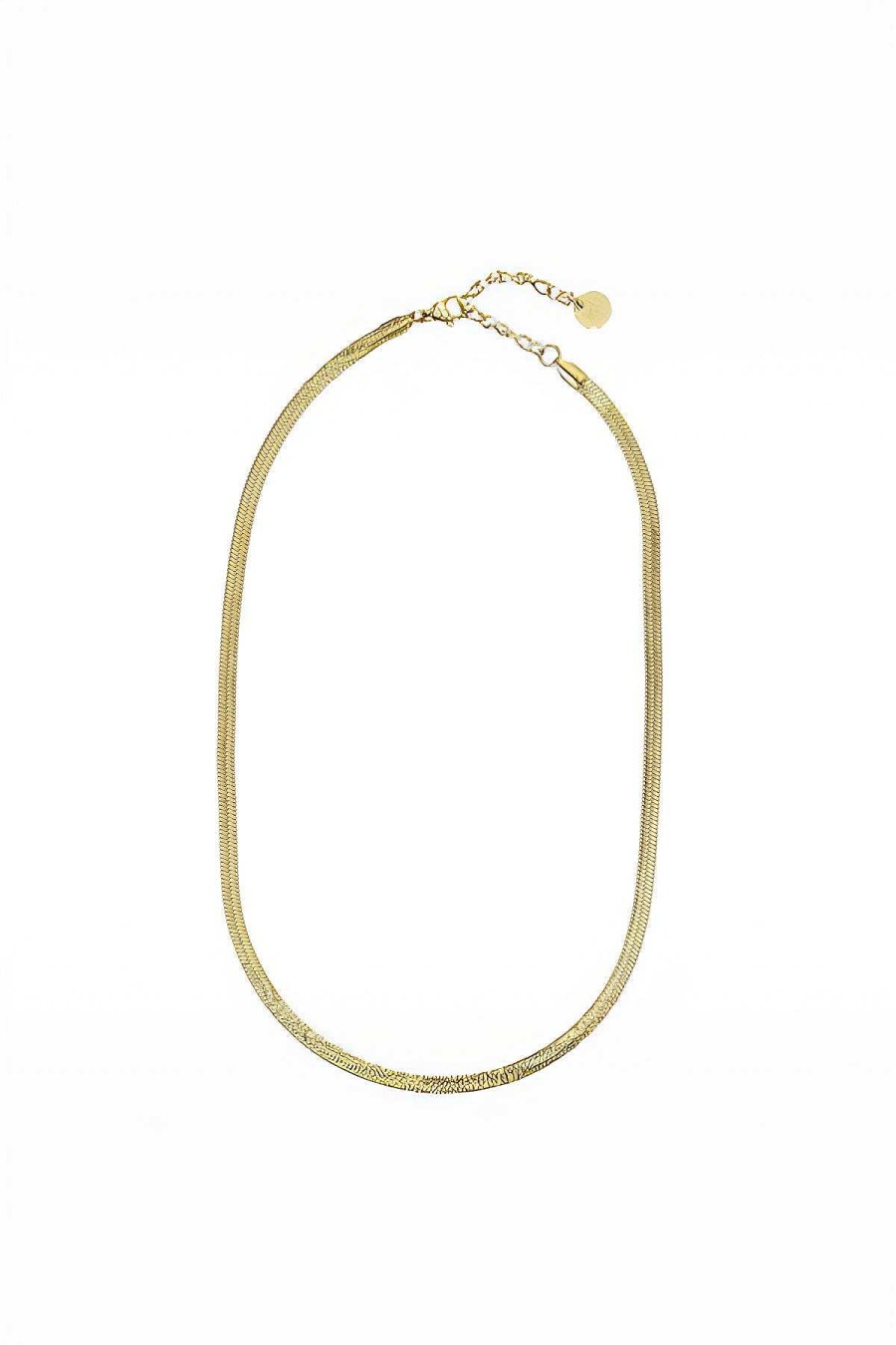 Necklaces | Knight & Day Gold Flat Snake Chain Necklace