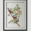 Homeware | Carraig Donn HOME 3D Bird Couple Wall Art