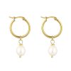 Boxed Gifts | Knight & Day Freshwater Pearl Earrings In Gold