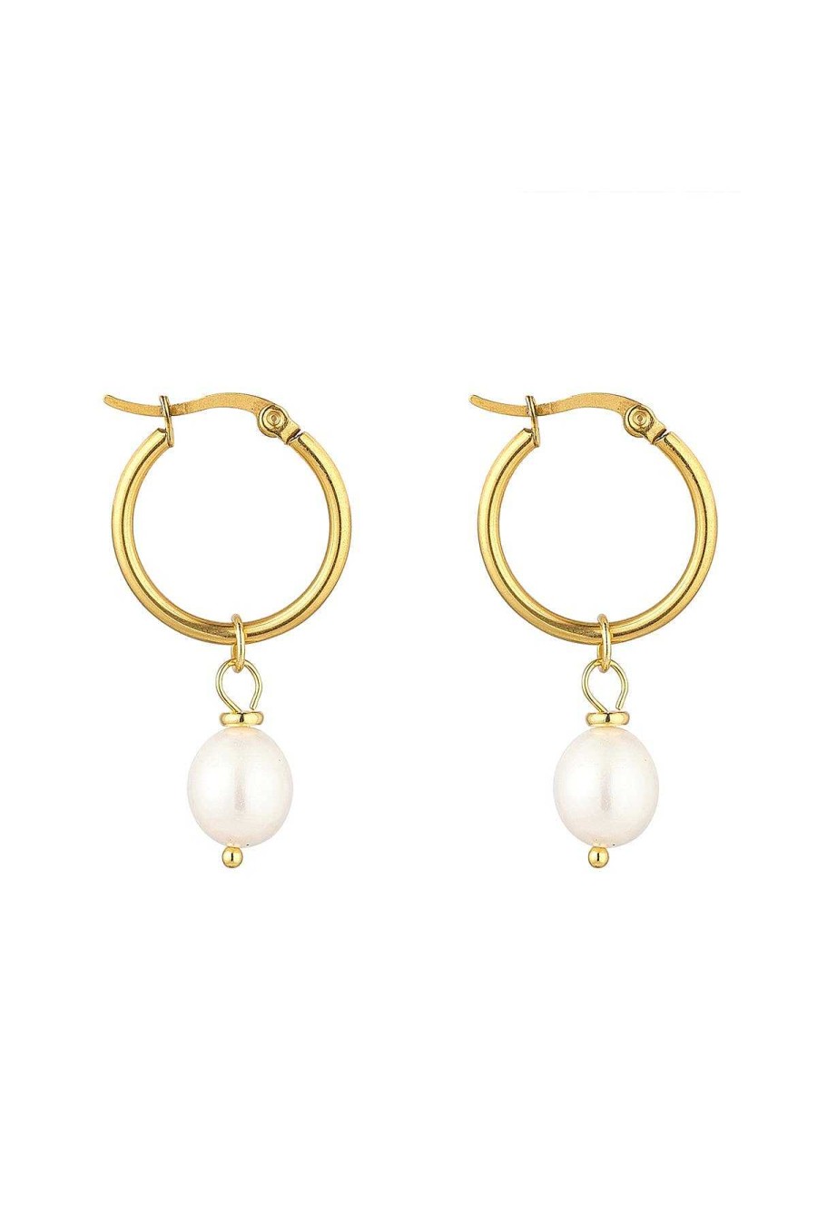 Boxed Gifts | Knight & Day Freshwater Pearl Earrings In Gold