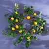 Homeware | Carraig Donn HOME Lemon Wreath