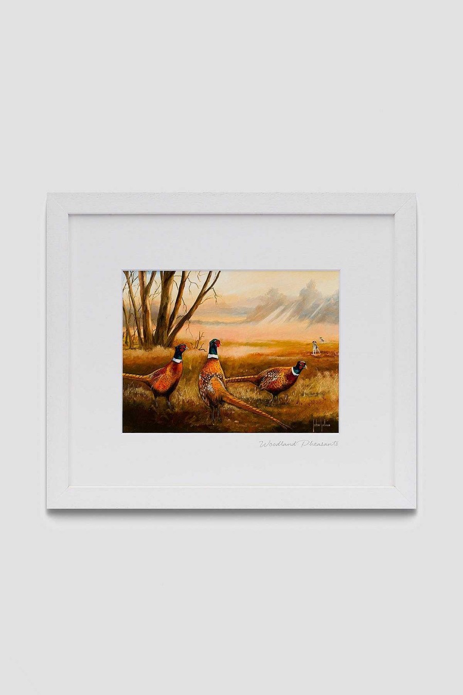 Homeware | Blue Shoe Gallery Woodland Pheasants Wall Art