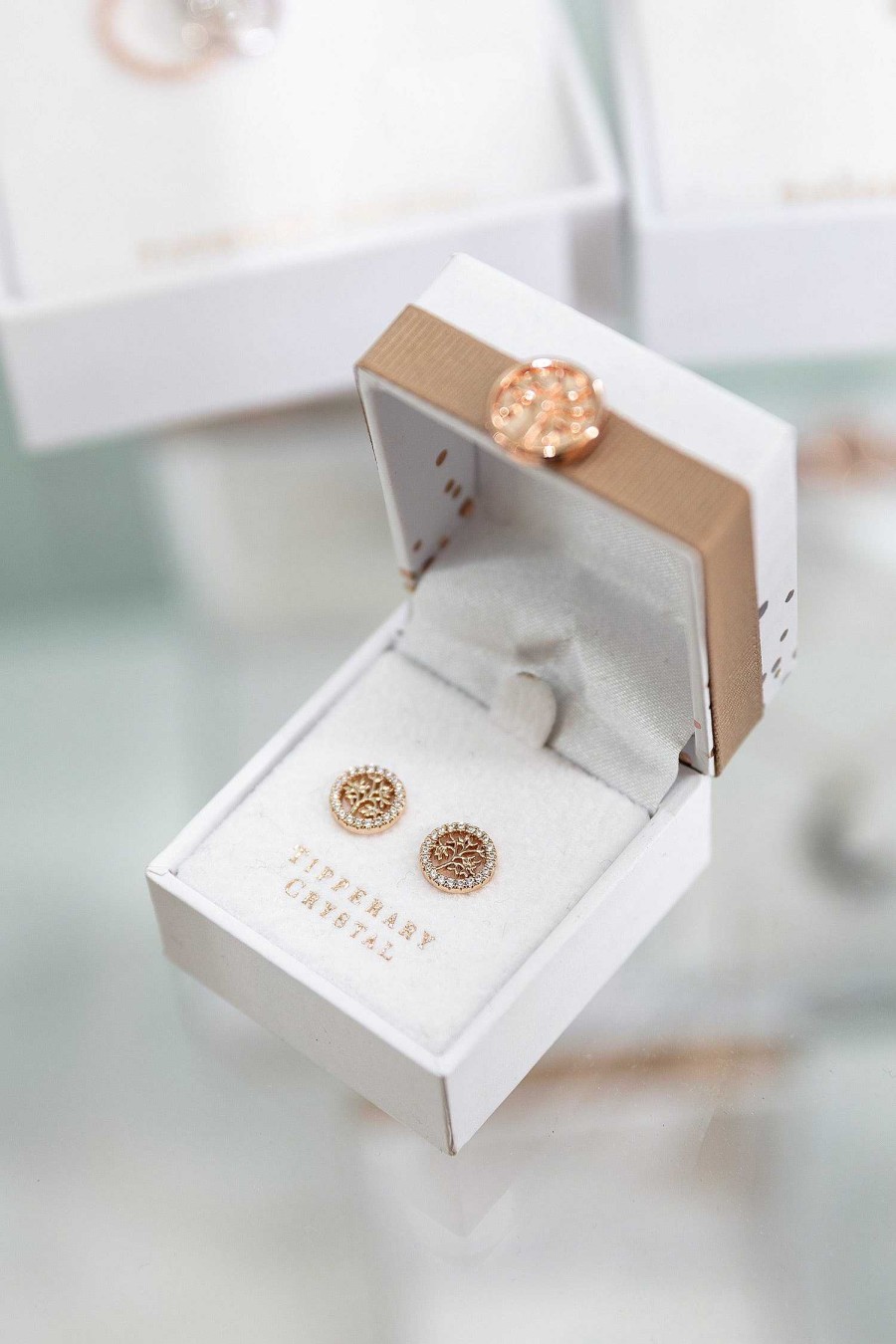 Boxed Gifts | Tipperary Crystal Jewellery Rose Gold Tree And Cz Circle Stud Earrings