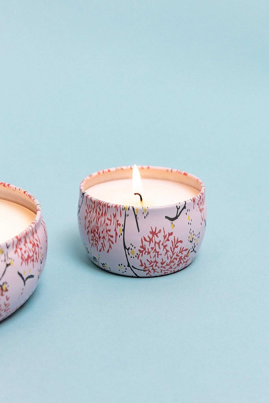 Homeware | Eclectic Grapefruit & Currant Small Travel Candle