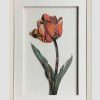 Homeware | Carraig Donn HOME 3D Plum Tulip Art