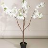 Homeware | Carraig Donn HOME Cherry Blossom Tree