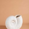 Homeware | Carraig Donn HOME Seashell Vase