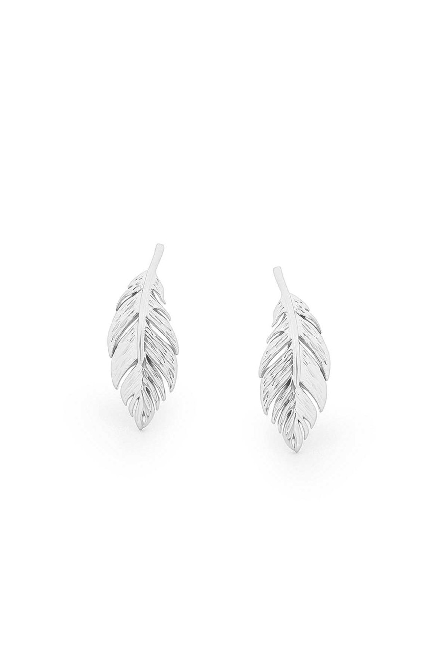 Earrings | Tipperary Crystal Jewellery Feather Stud Earrings In Silver