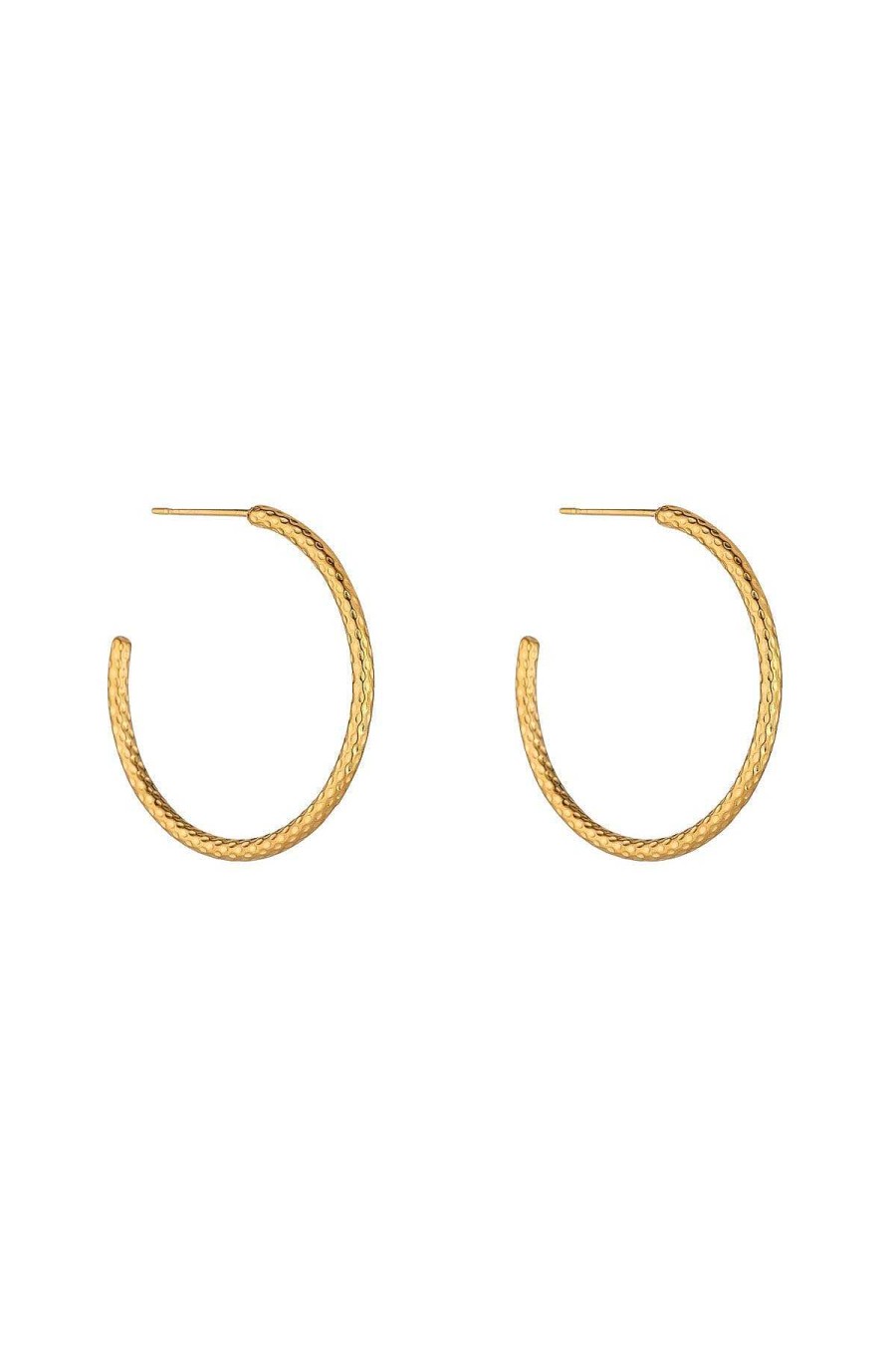 Jewellery | Knight & Day Avalynn 30Mm Hoops