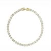 Jewellery | Knight & Day Dakota Gold Tennis Bracelet